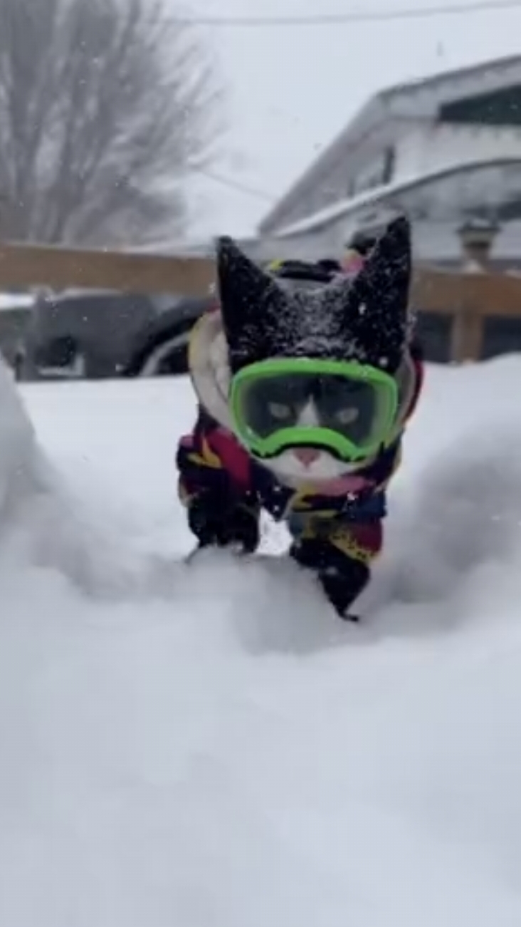 А мне снег по колено!