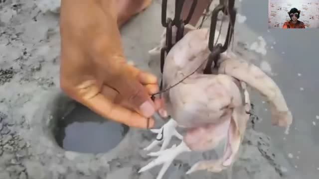 Сом на курицу: необычный способ рыбалки