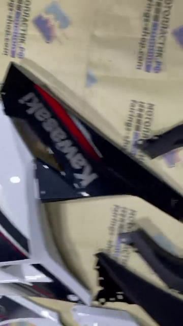 г. Якутск Kawasaki Ninja 300/Ninja 250 2013-2017  ||| мотопластик.рф