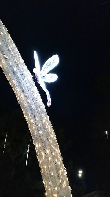 Краснодар. Новый год.