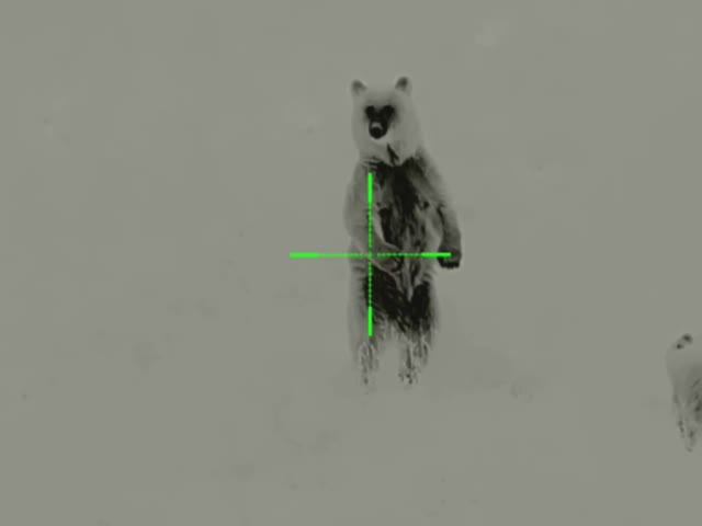 Отрицание гнев торг...... и наконец принятие история о не сговорчивой Маше с добрым концом