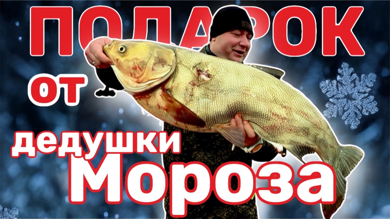 Глубина,прозрачность,улов-триумф подводной охоты уходящего года!