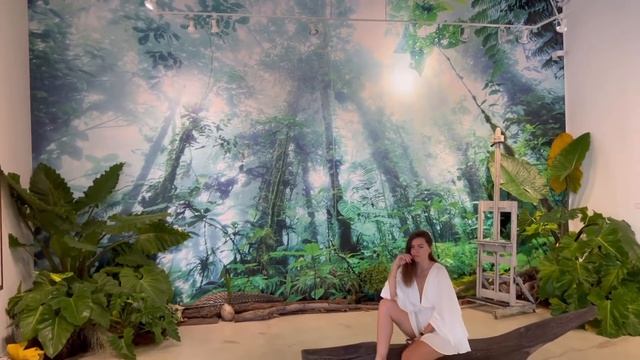 ANKA - Дальнобойщица в США. - Ремонт в квартире. Концерт пианиста HAVASI. Гуляем по Майами.