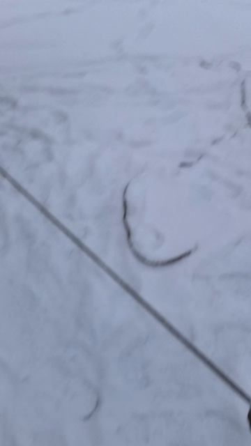 Город Мурманск Баумана 12