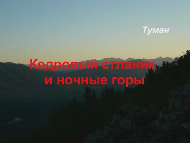 Кедровый стланик и ночные горы