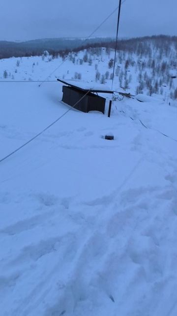 Поздравления товарища с Крыши