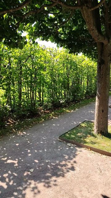 2Аллеи Екатерининского парка. КрасотаЁ