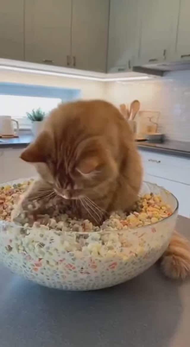 Фанат салата 'Оливье'.