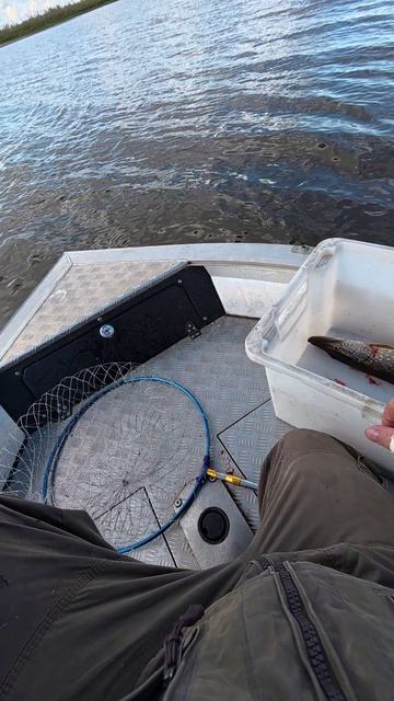 Воблер который ГЕРОЙ!