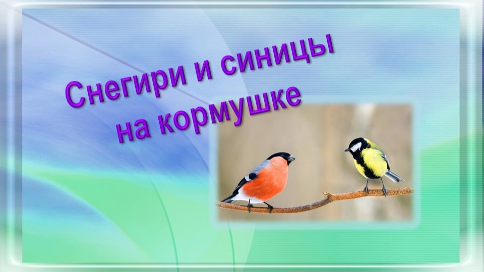 Снегири и синицы на кормушке
