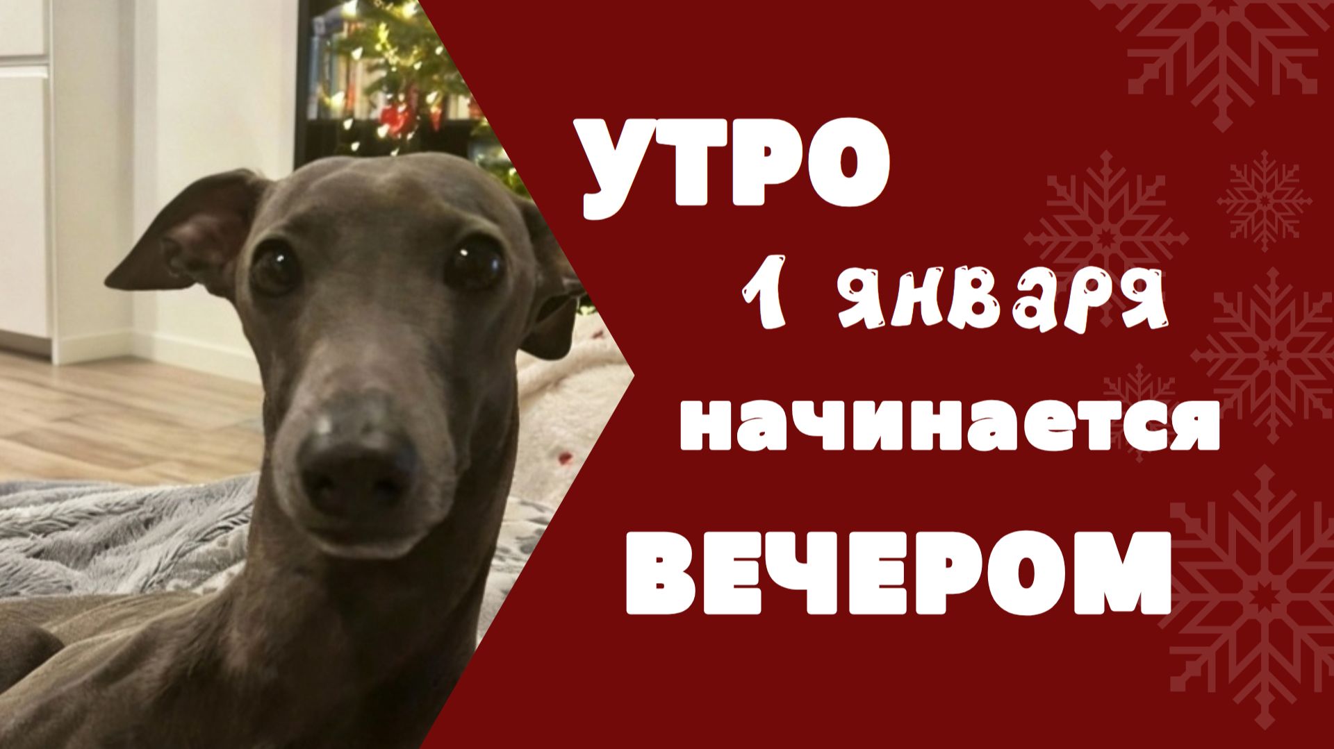 Новогодняя ночь УДАЛАСЬ...
