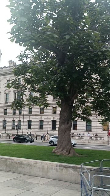 Парламент сквер, Лондон, Англия (Parliament Square, London, UK)