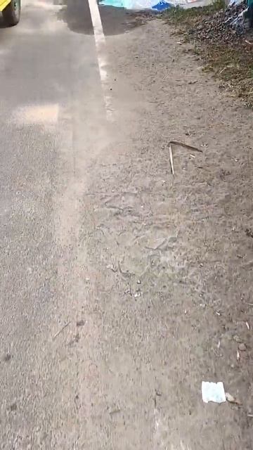 Иду на пляж индийского океана и снова новые рисунки перед каждым домом. Таланты!