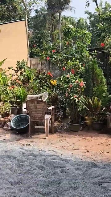 Индийский дворик весь в цветах. Идет ремонт, а может строительство дома.