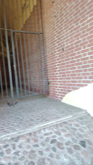 Башня руина. Екатерининский парк. Часть 2