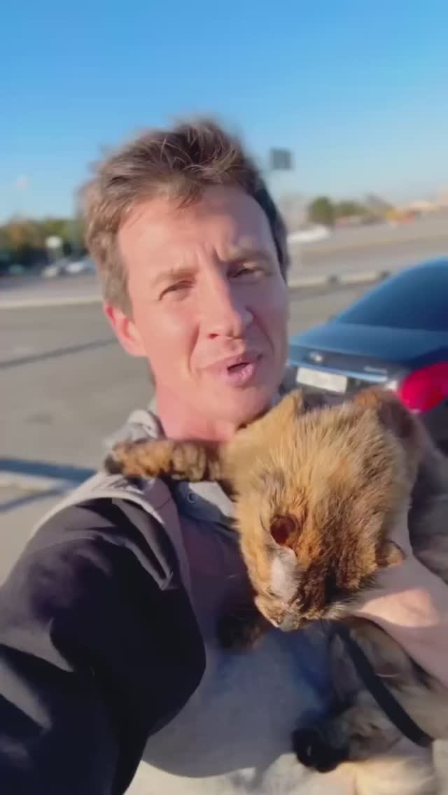 Помогли популярному блогеру-моряку Александру papazzhuk подобрать авто для кота. NETCARS