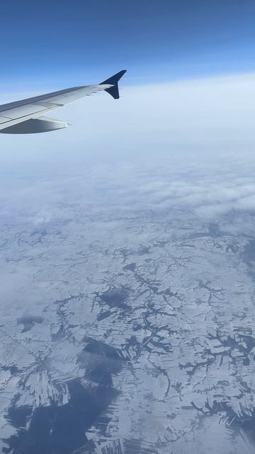 Самолет путешествие январь 2026