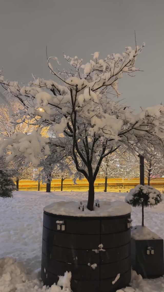 Сербия 2026 январь