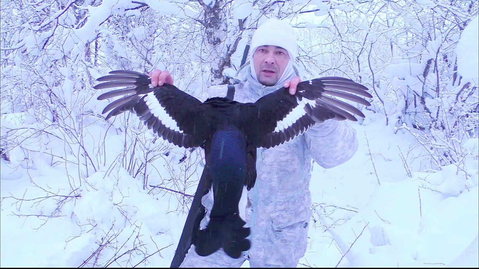 ТРИ ДНЯ ЕГО ГОНЯЛ / НАКОНЕЦ-ТО СВЕРШИЛОСЬ / ОХОТА НА ХИТРОГО ТЕТЕРЕВА / ПО ПУТИ ТРИ РЯБЧИКА ВЗЯЛ.