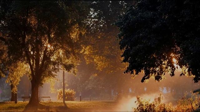 Анатолий Бабушкин Осенний променад