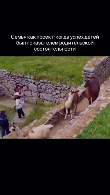 Освободитесь от проекта успеха и найдите свою истинную ценность!