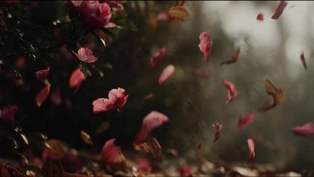 Анатолий Бабушкин Осеннее танго 2