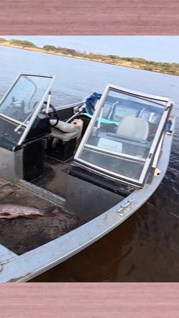 Знакомая Лодка и снова ЩУКА!