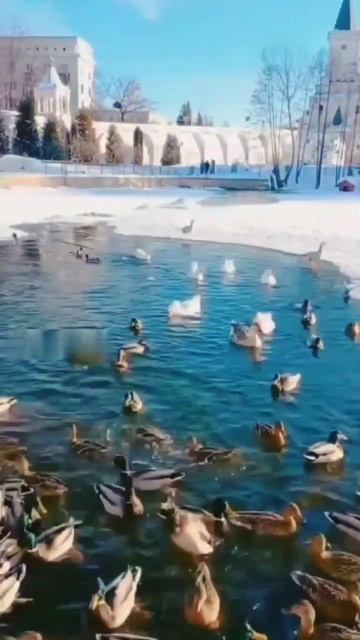 Мудрость Омара Хайяма: Ветер Жизни и Чёрная Душа