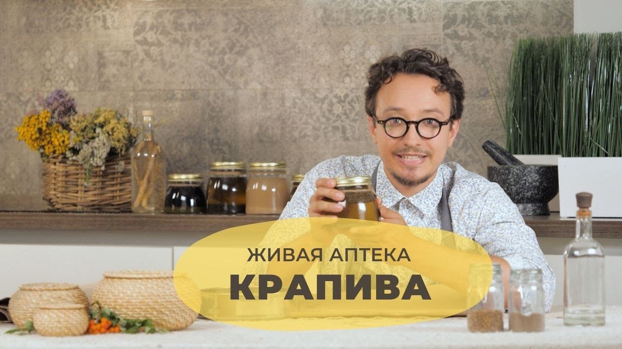 Крапива // Живая аптека