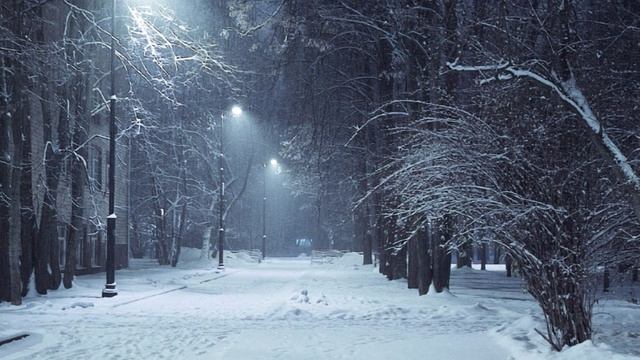 "ХОРОШО, КОГДА СНЕЖИНКИ ПАДАЮТ"... (Фото Ольги Токаревой (М) - Поёт Виктория Иванова)