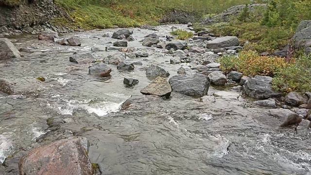 5 ходовой день - 01.09.23г