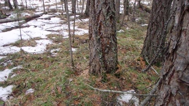 Вспомогательные способы ориентирования. Часть 18