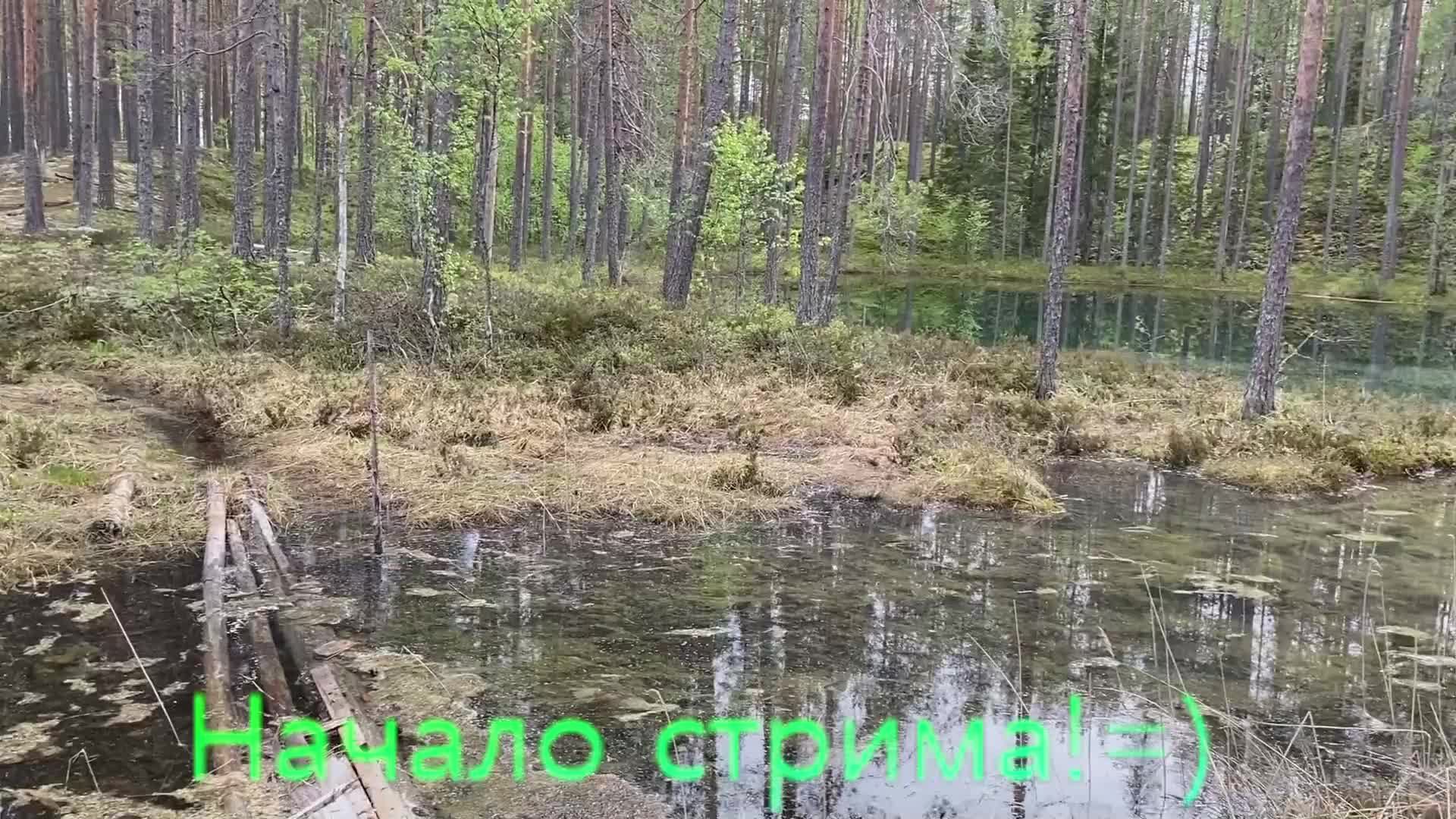 Мир танков и ранговые бои=)