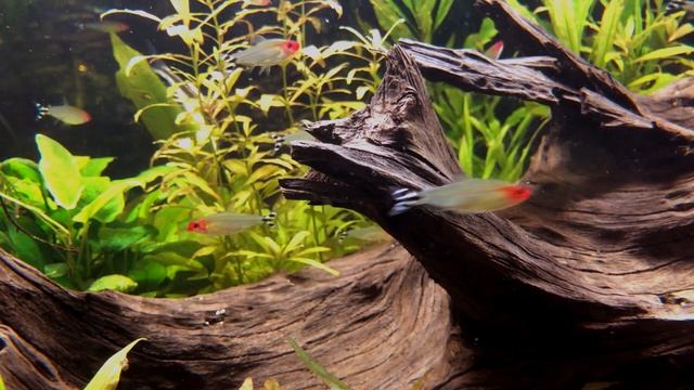 Вводная часть перед настроем.mp4