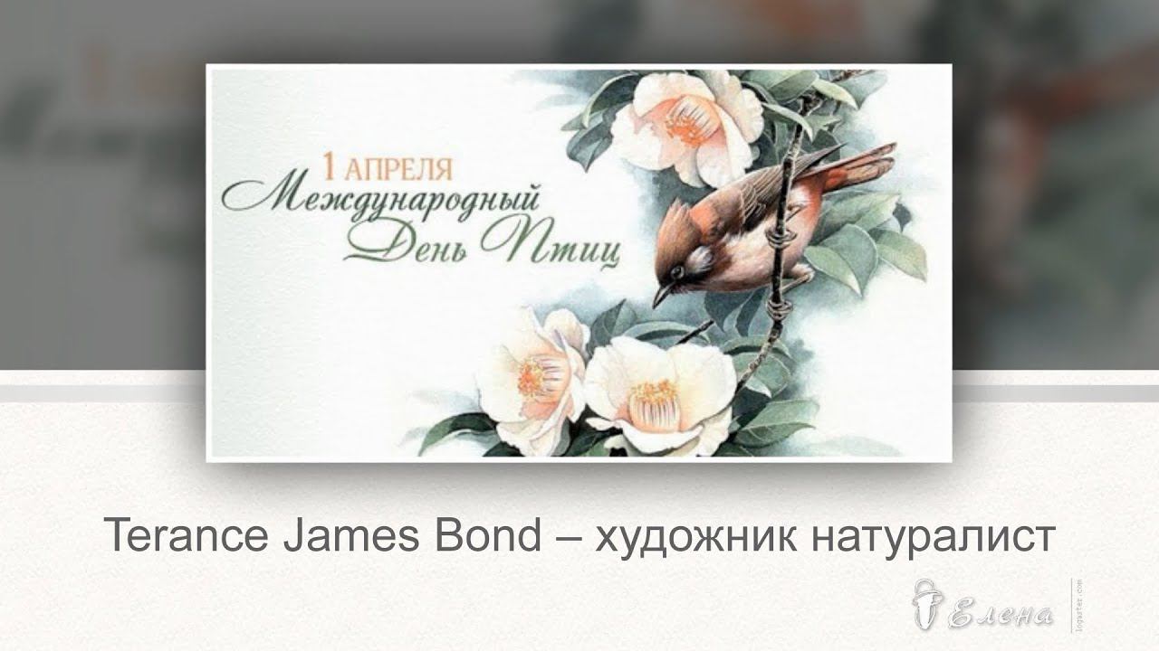 Художник - натуралист  Terance James Bond*   1 апреля -  ДЕНЬ ПТИЦ