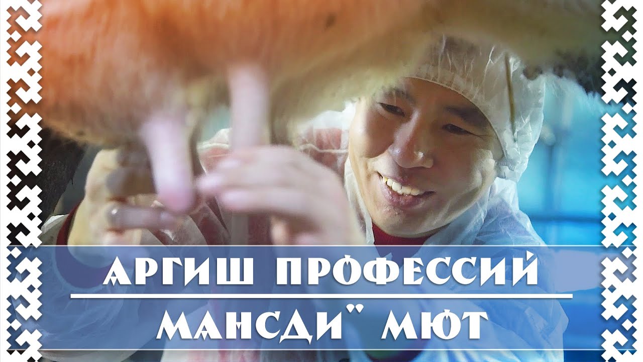 Аргиш профессий. "Veritas"