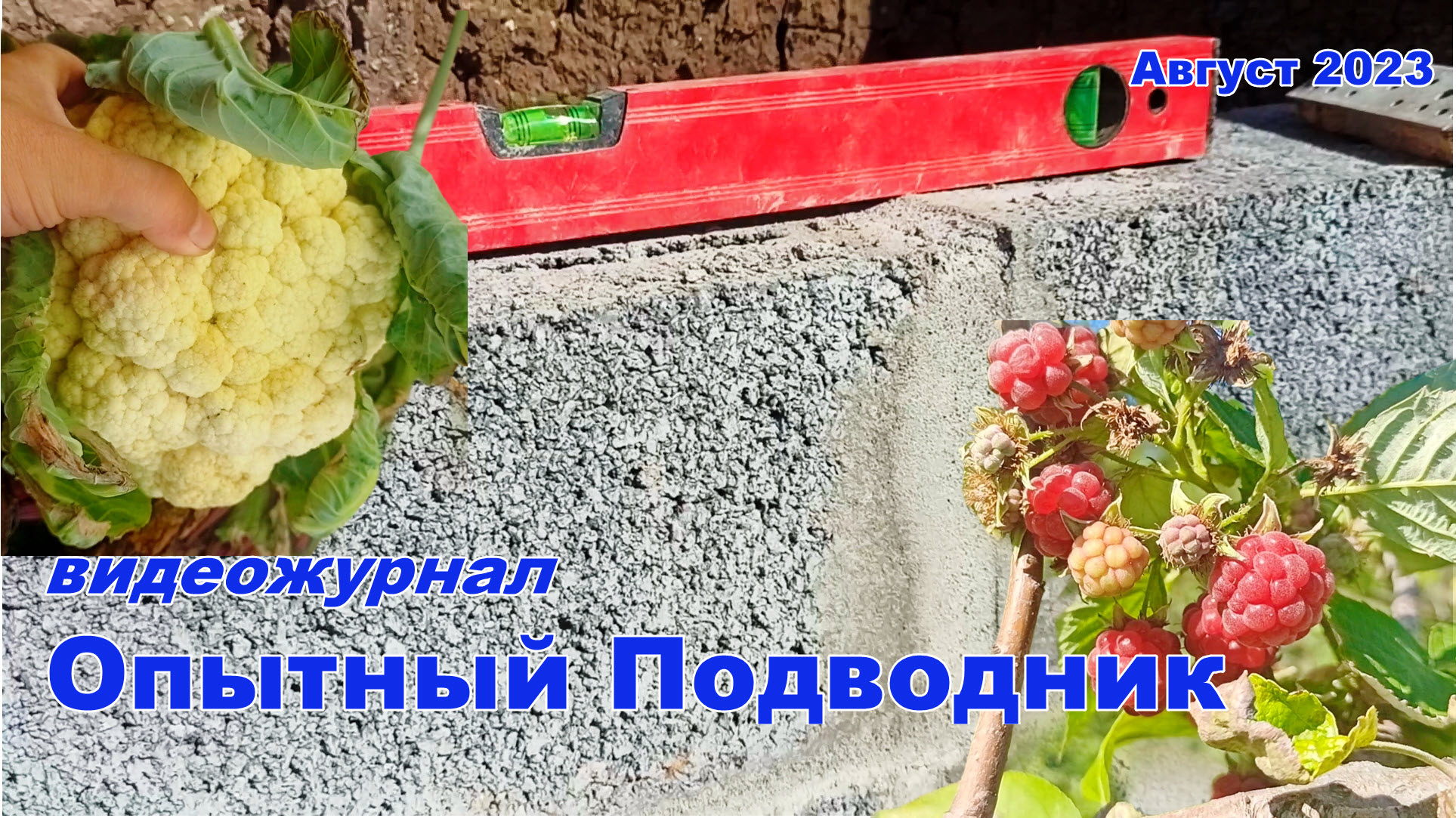 Видеожурнал ОПЫТНЫЙ ПОДВОДНИК_Август 2023