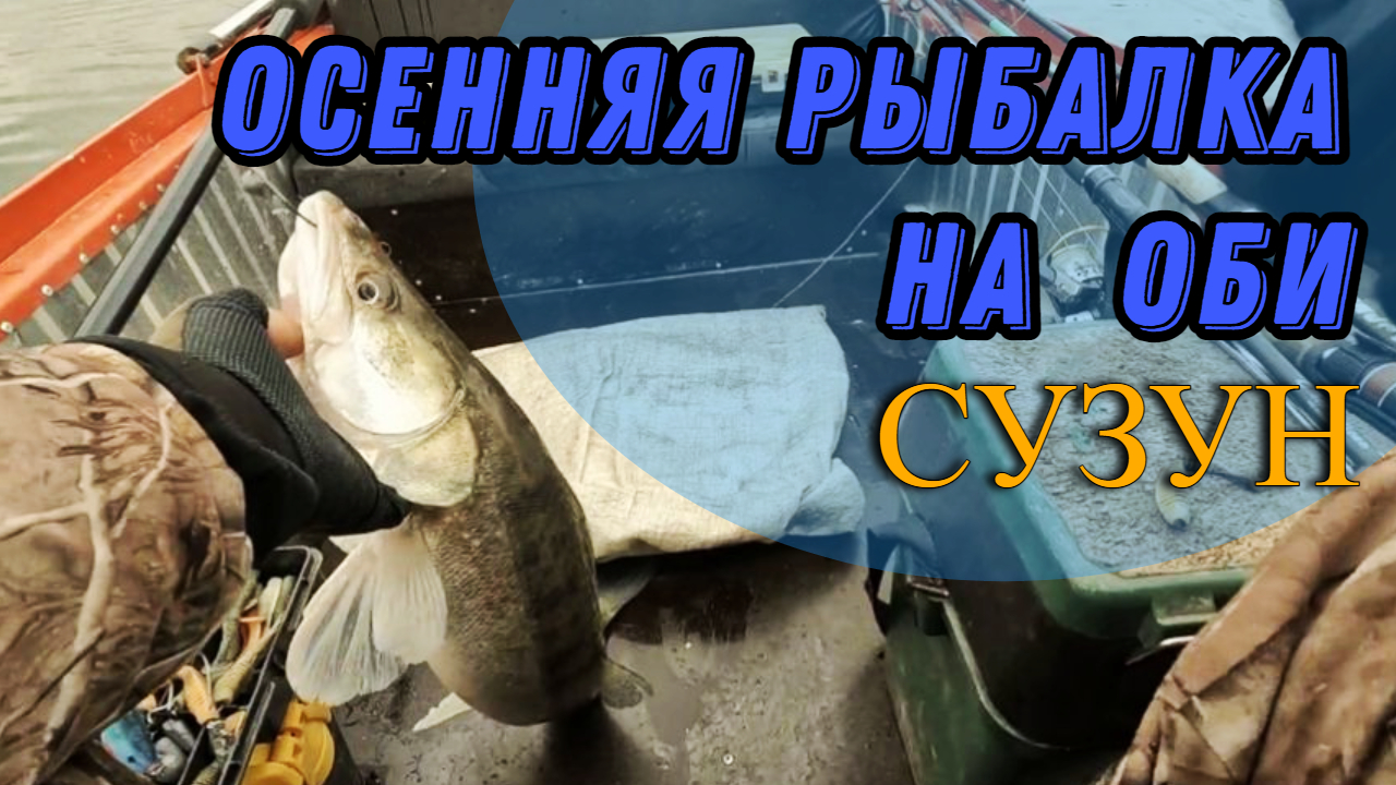 Рыбалка на Оби (Сузун) 25 сентября 2022 г. Осенний джиг. Щука, Судак, Окунь.
