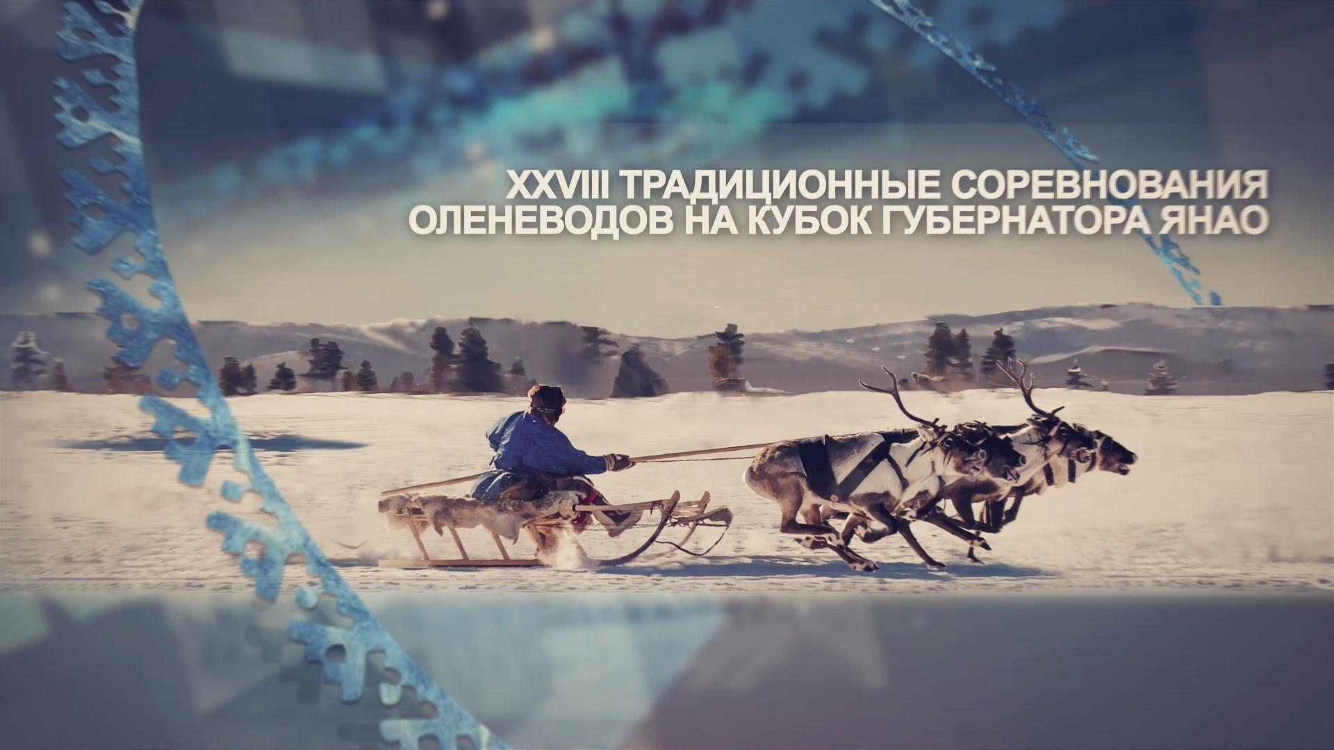 Спецвыпуск XXVIII Открытых традиционных соревнований оленеводов на кубок губернатора ЯНАО (24.02.24)