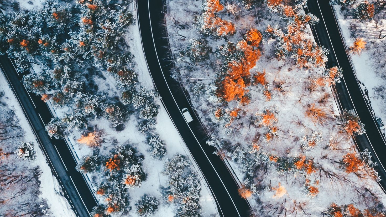 Энергия Югры. Дороги