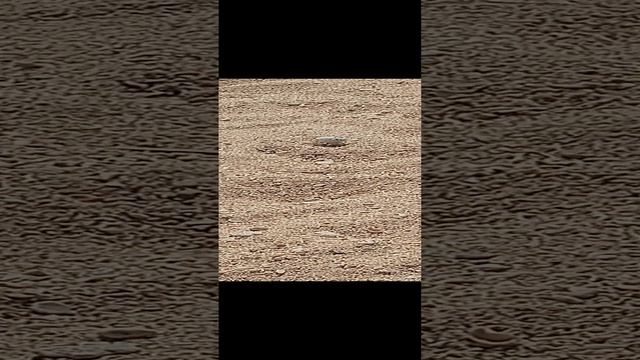 Экскурсия на яхте по Красному морю. Египет. Июль 2023.