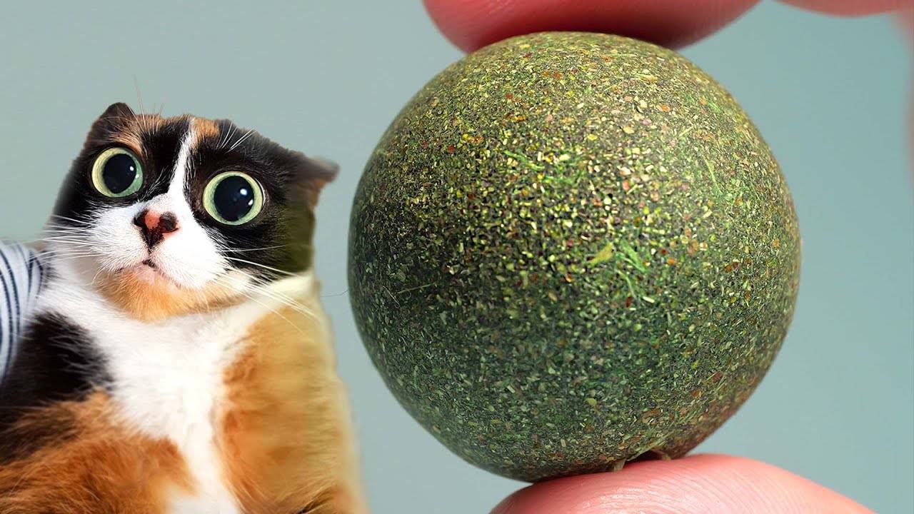 Вот что мы купили на aliexpress №8