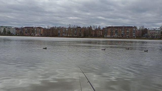 Открытие весеннего сезона на поплавок!