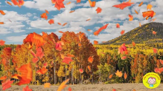 ДЛЯ РОДИТЕЛЕЙ!