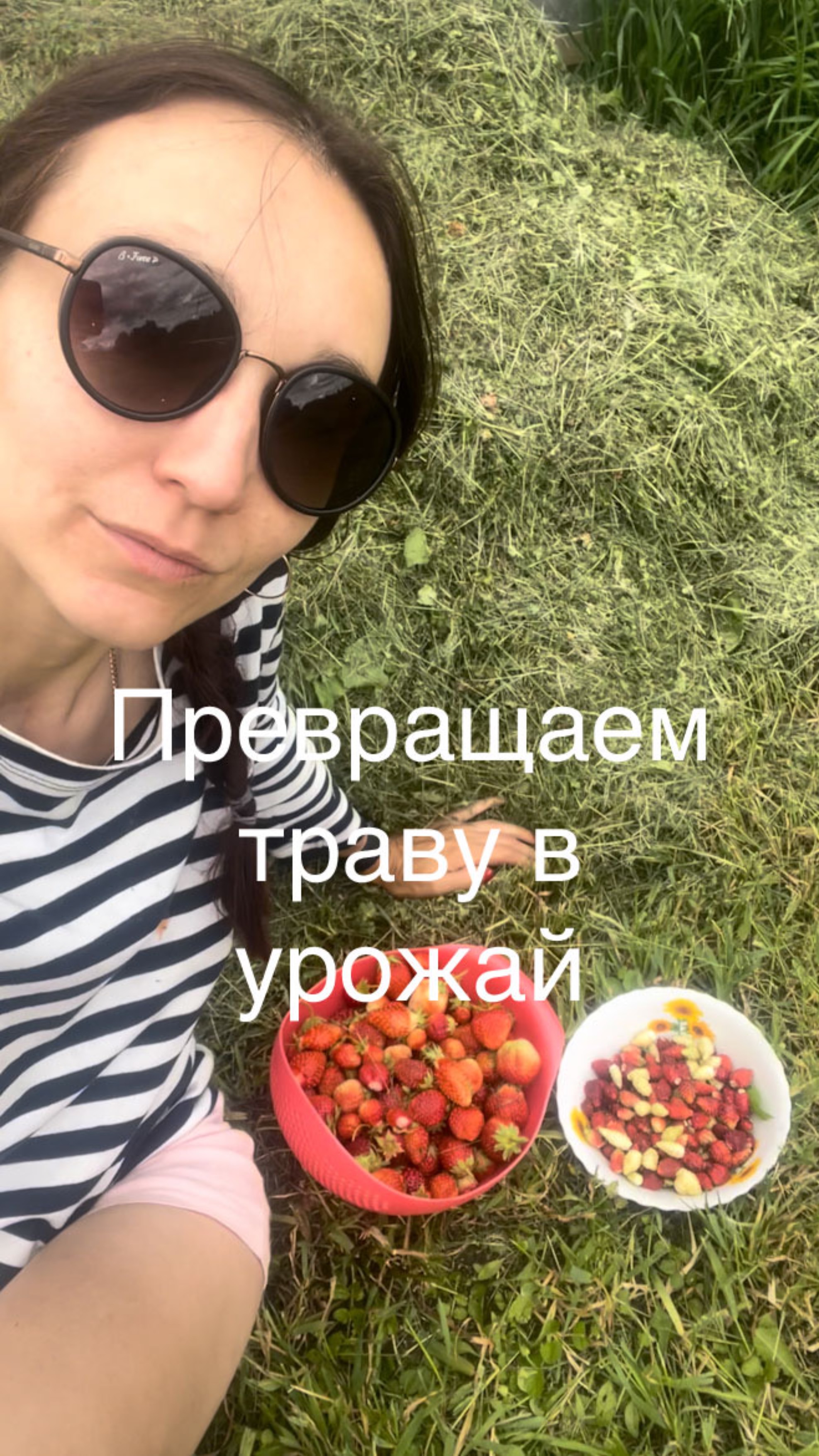 Превращаем траву с участка в урожай