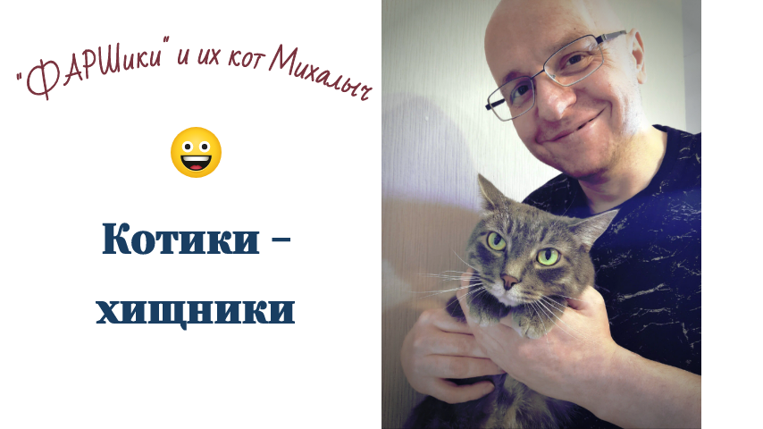 Котики - хищники. Кот Михалыч и новая чесалка ?