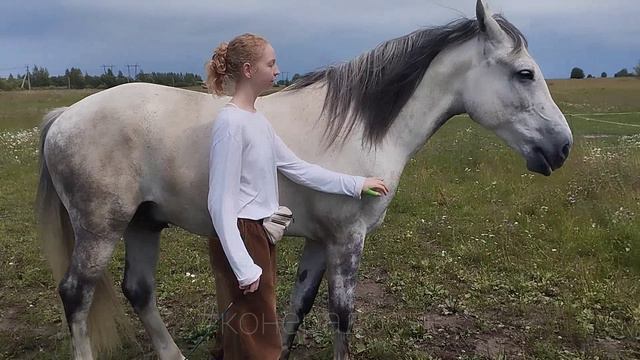 Елизавета и Фаир. Следование: коррекция обгона