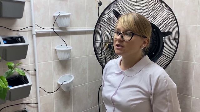 Новости "Волга-24" 31.10.2022 11:00