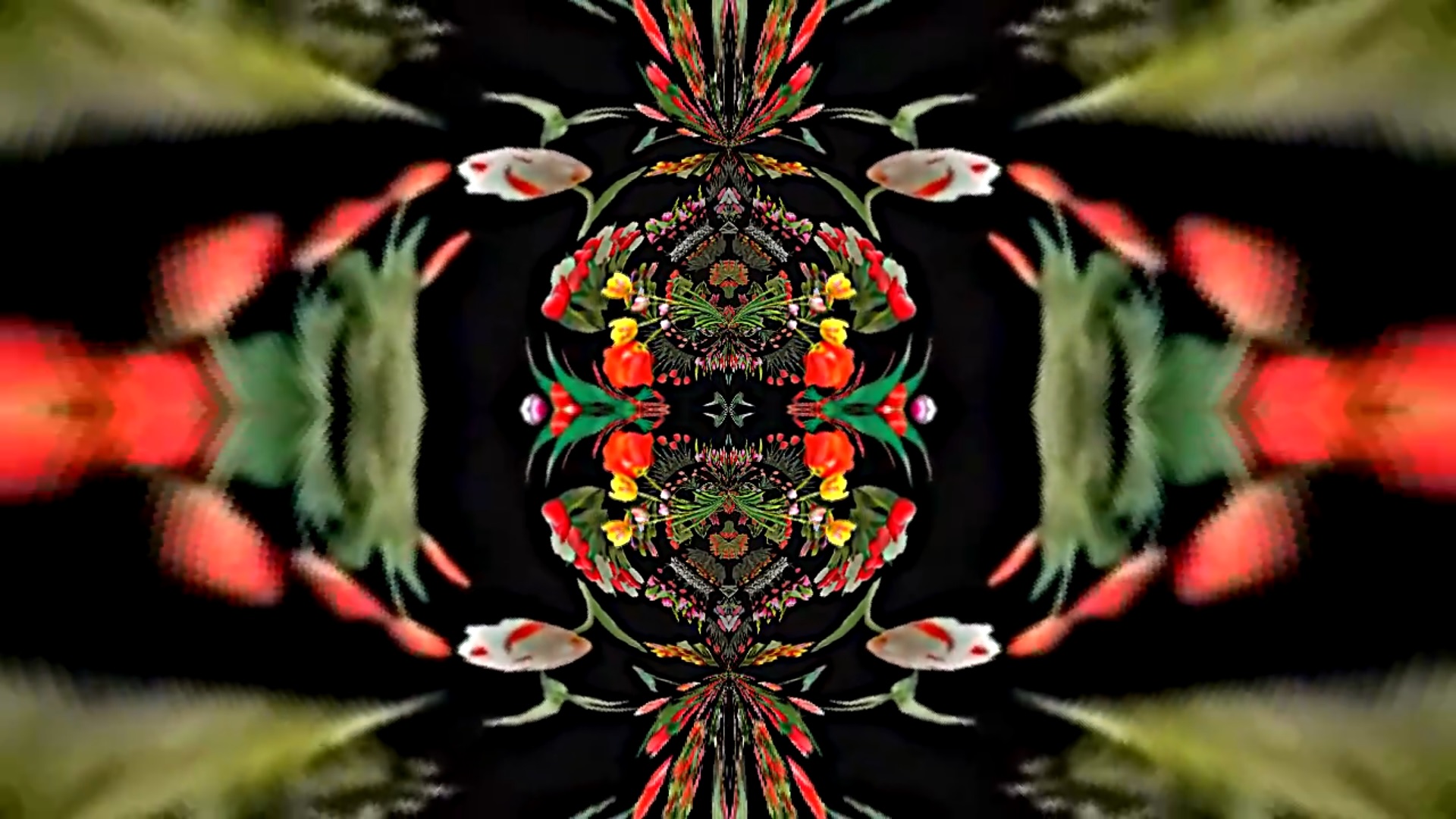 Футажи! Комплект Футажей Планета тюльпанов 12 от Киностудии Мудрого Кота Тимофея!