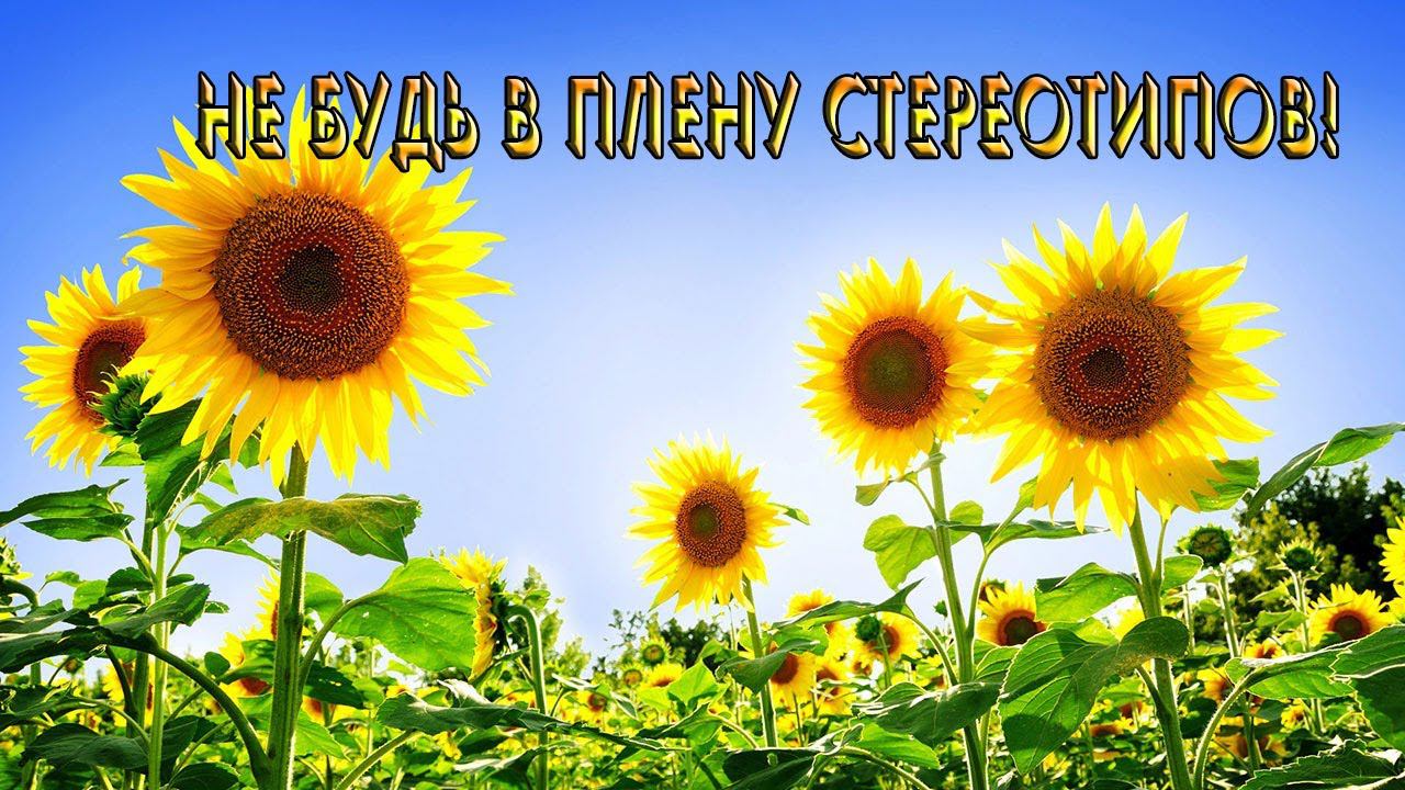 Не будь в плену стереотипов*